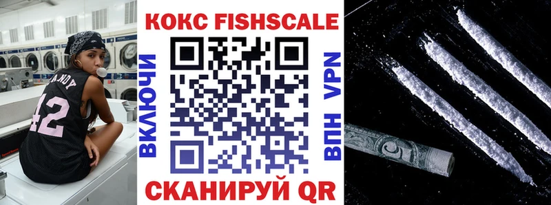 COCAIN Эквадор  купить закладку  Южно-Сухокумск 