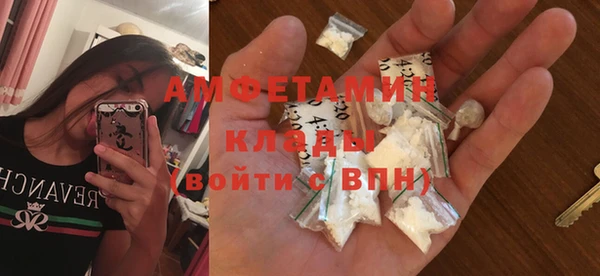 хмурый Аркадак