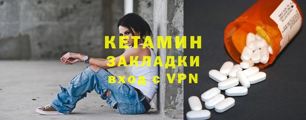 хмурый Аркадак