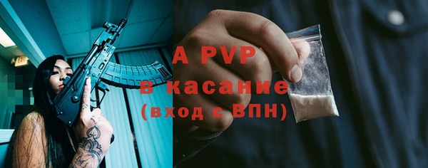 прущие грибы Абинск