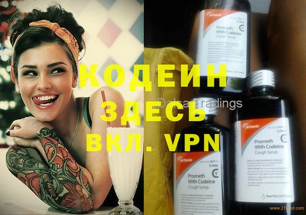 хмурый Аркадак