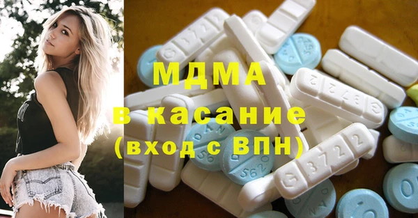 хмурый Аркадак