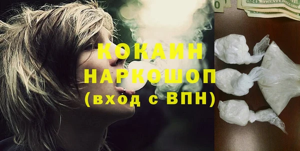 хмурый Аркадак