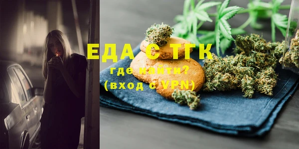 хмурый Аркадак