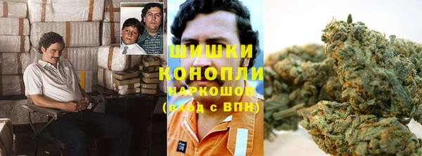 хмурый Аркадак