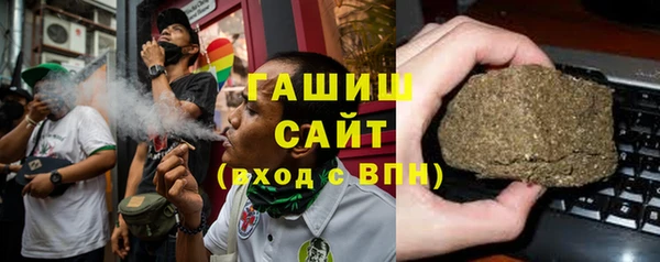 хмурый Аркадак