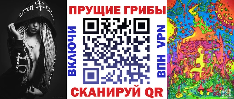 наркошоп Южно-Сухокумск Псилоцибиновые грибы мицелий