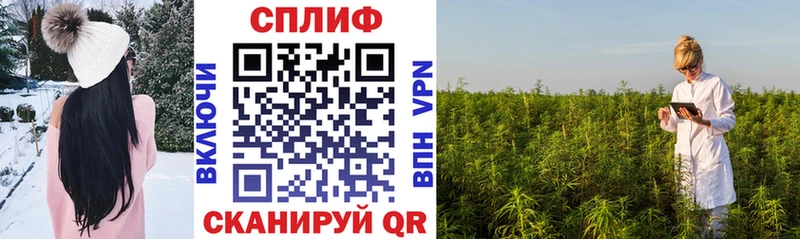 Конопля OG Kush Южно-Сухокумск